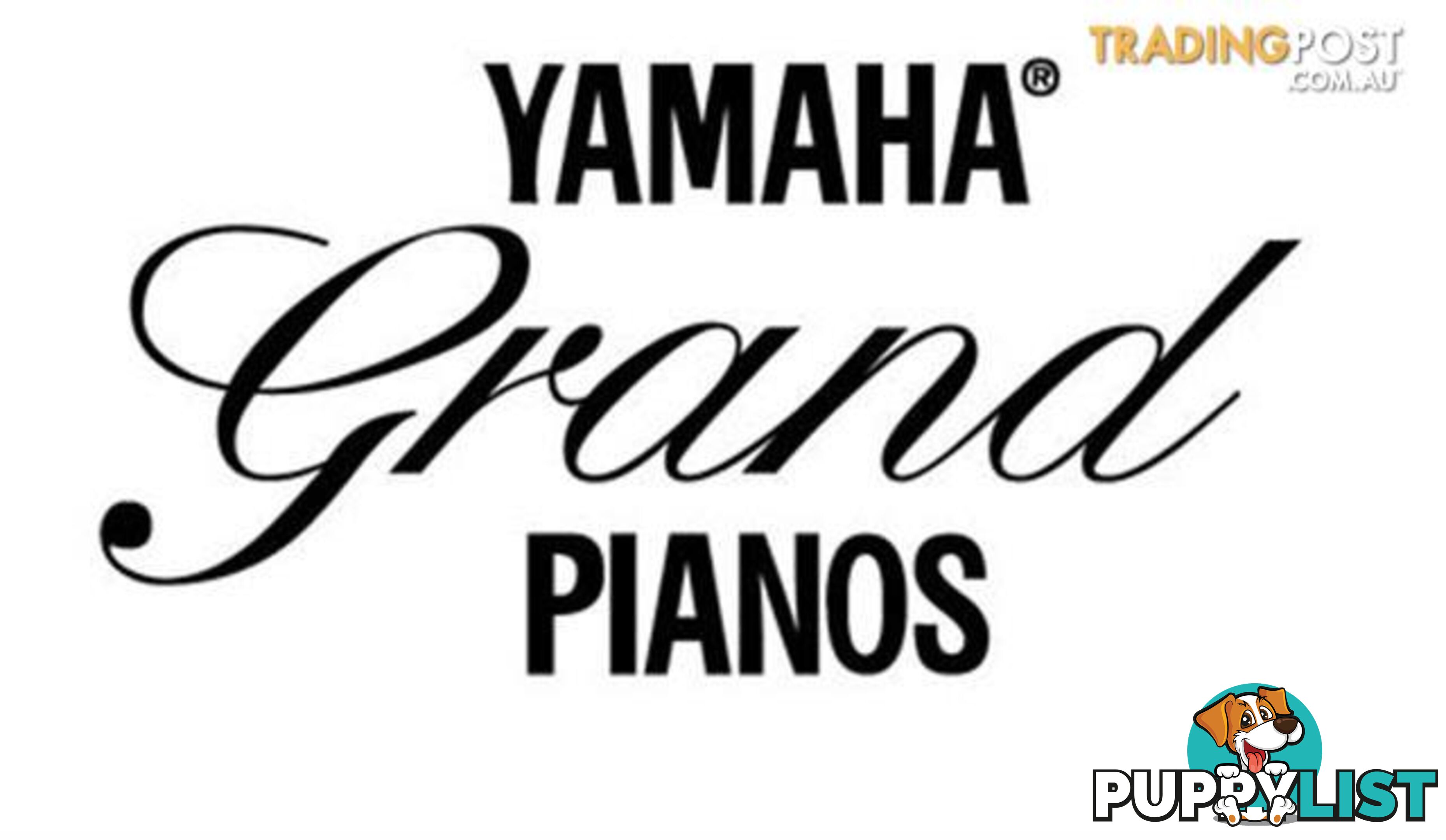 Yamaha C3XGrand Piano CX Series