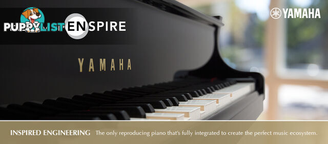 Yamaha C3XGrand Piano CX Series