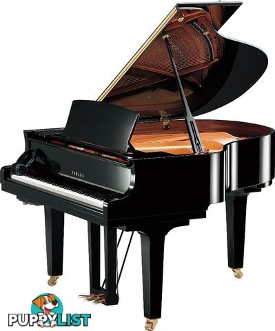 Yamaha C1 Grand Piano CX Series  Silent System C1XSH3PE 161cm (5'3") CX Series Grand Piano 