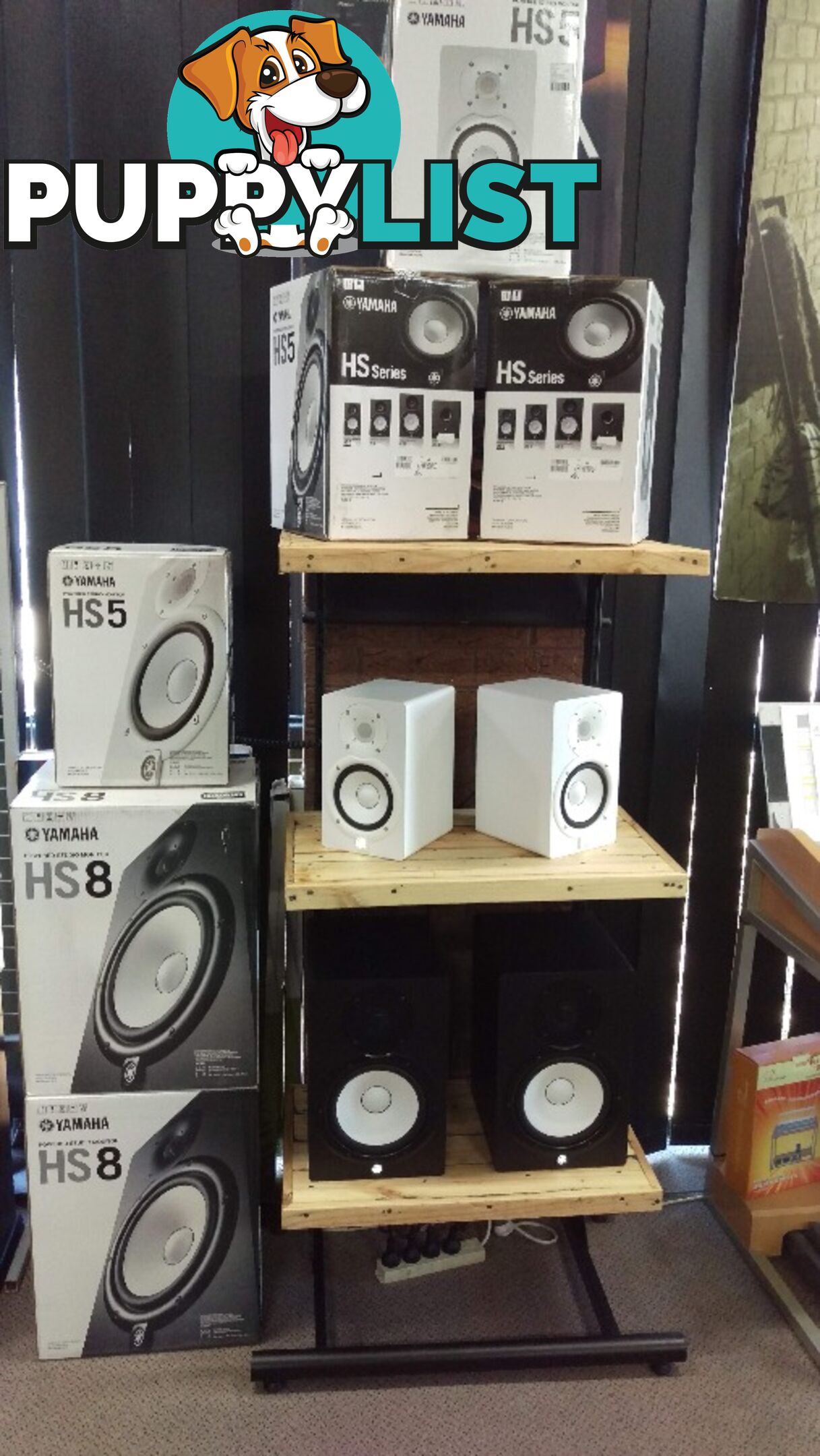 HS5W Powered Studio Monitor (White)