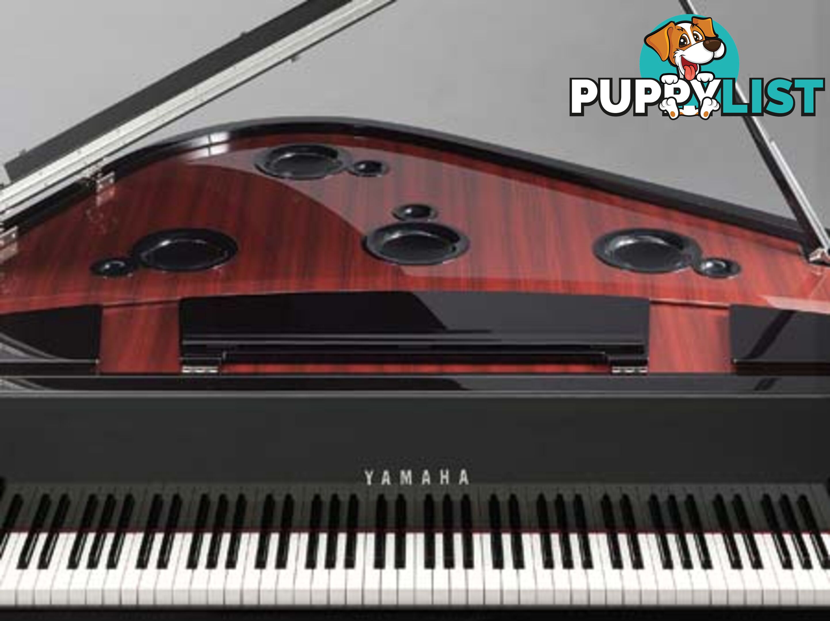 Yamaha Hybrid Piano AvantGrand N3X 