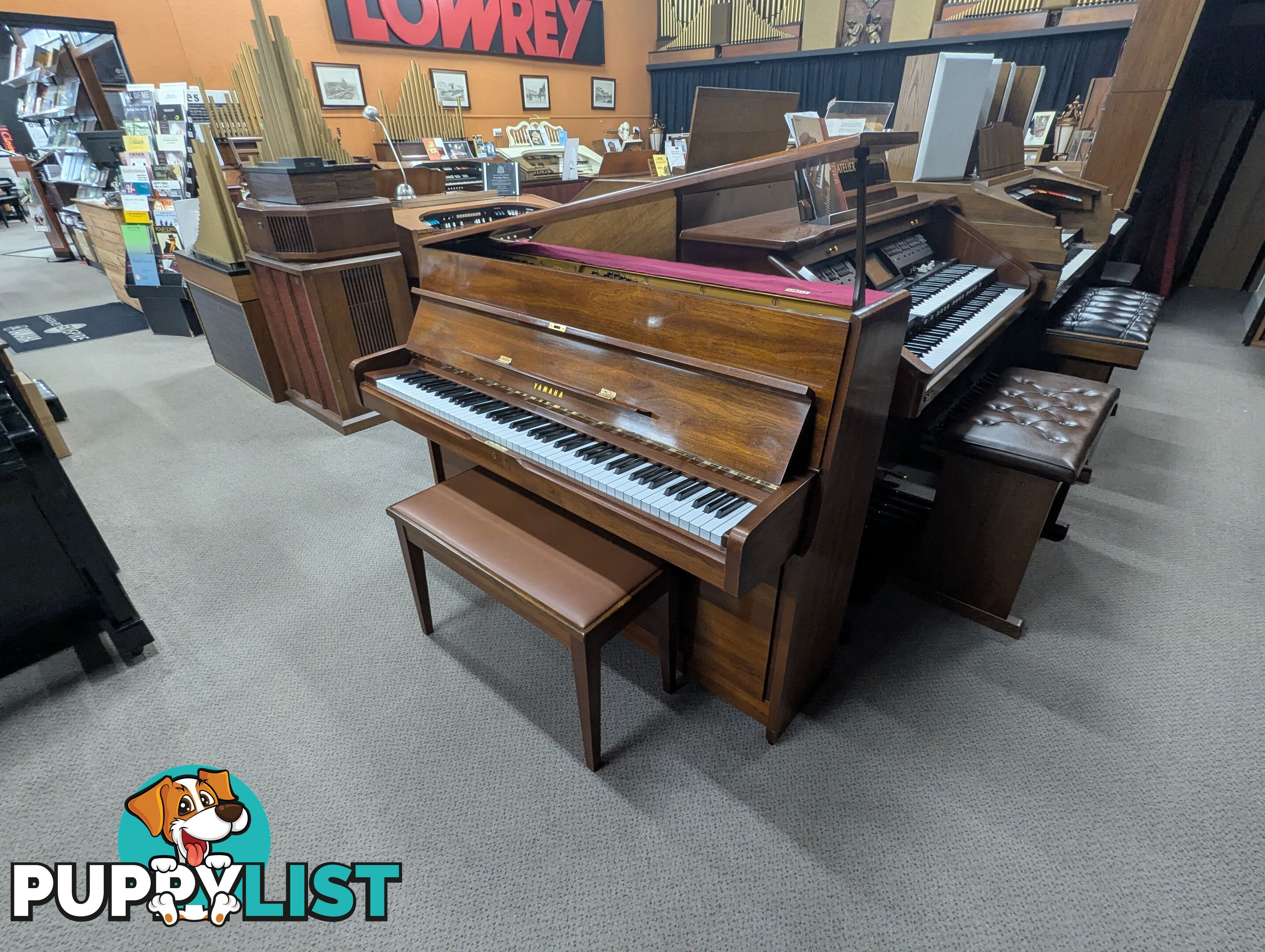 Yamaha M1A Dark Walnut Polish Upright Acoustic Piano