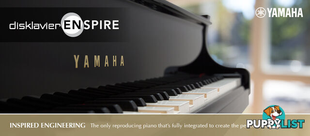 Yamaha C6 Grand Piano CX Series