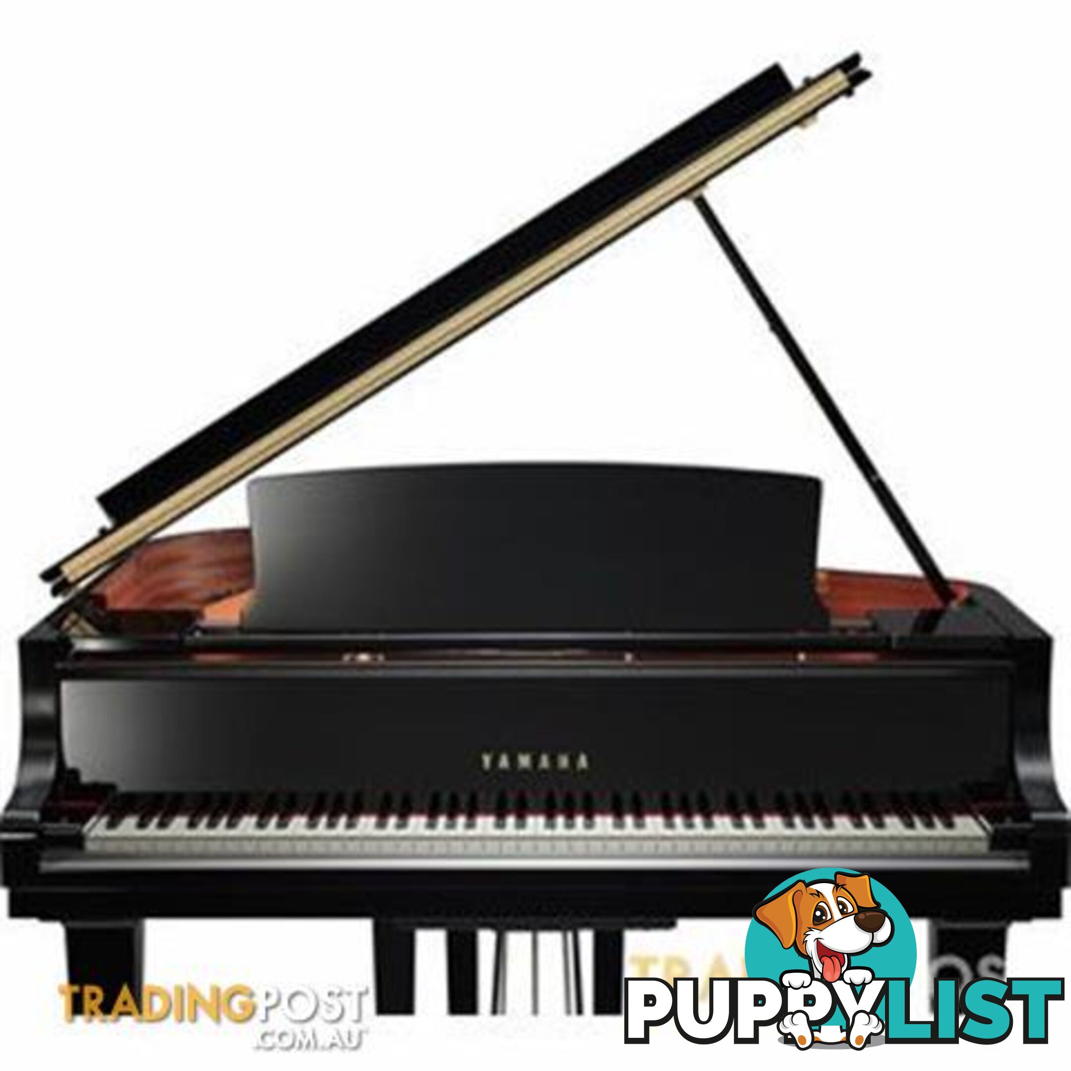 Yamaha C6 Grand Piano CX Series