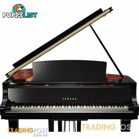 Yamaha C6 Grand Piano CX Series