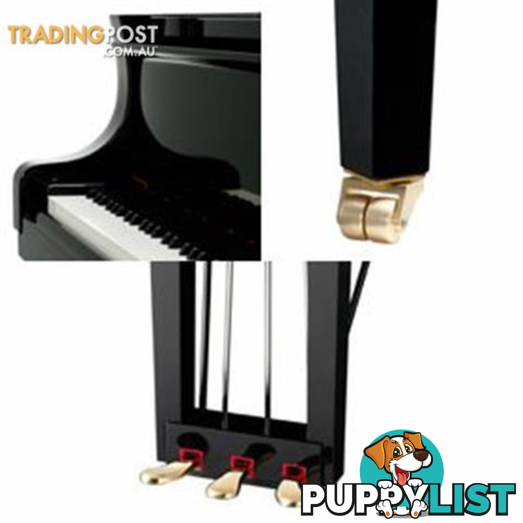 Yamaha C6 Grand Piano CX Series