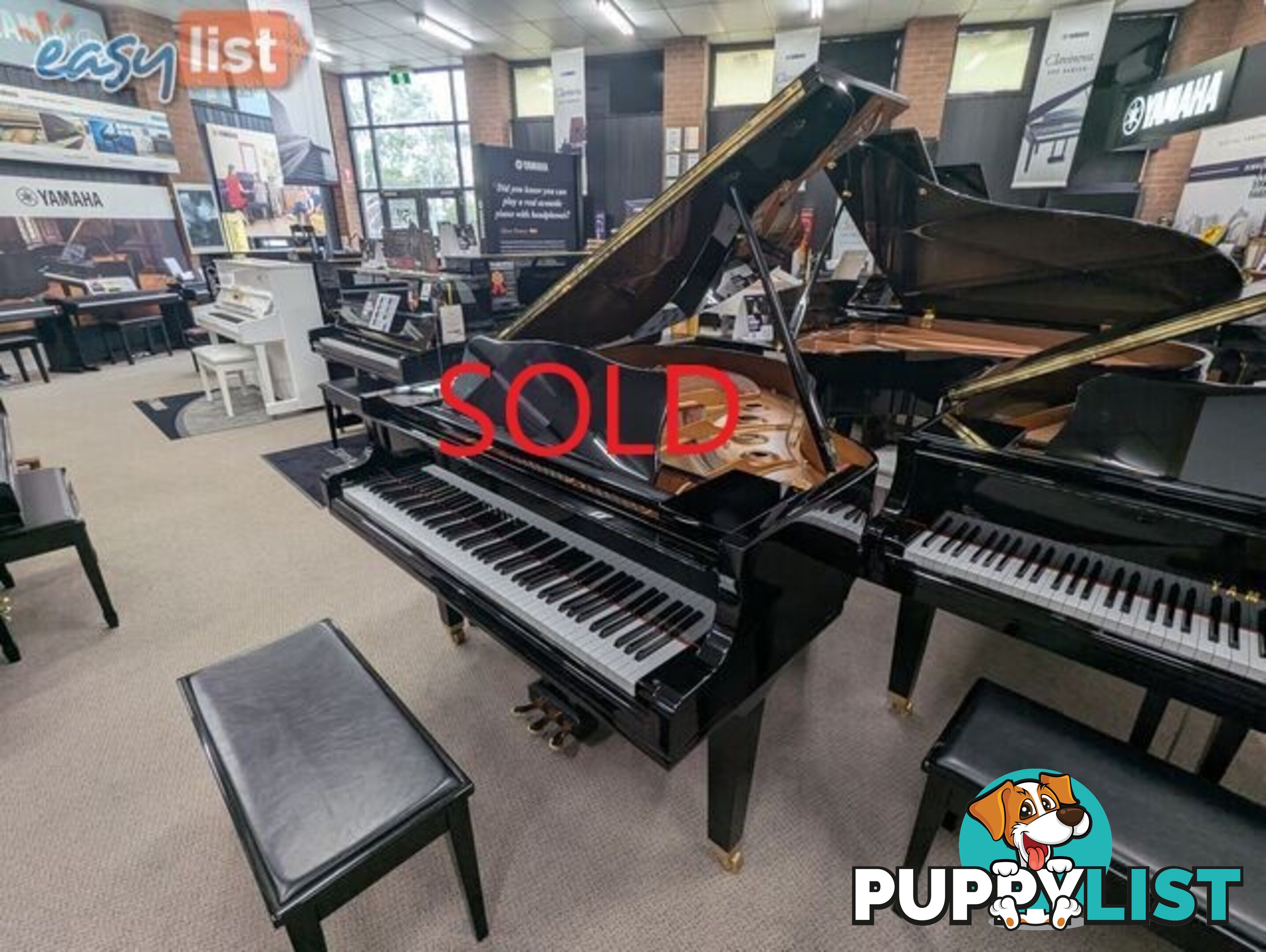 Yamaha GC1 161cm Polished Ebony Grand Piano  Like New ~ Made in Japan