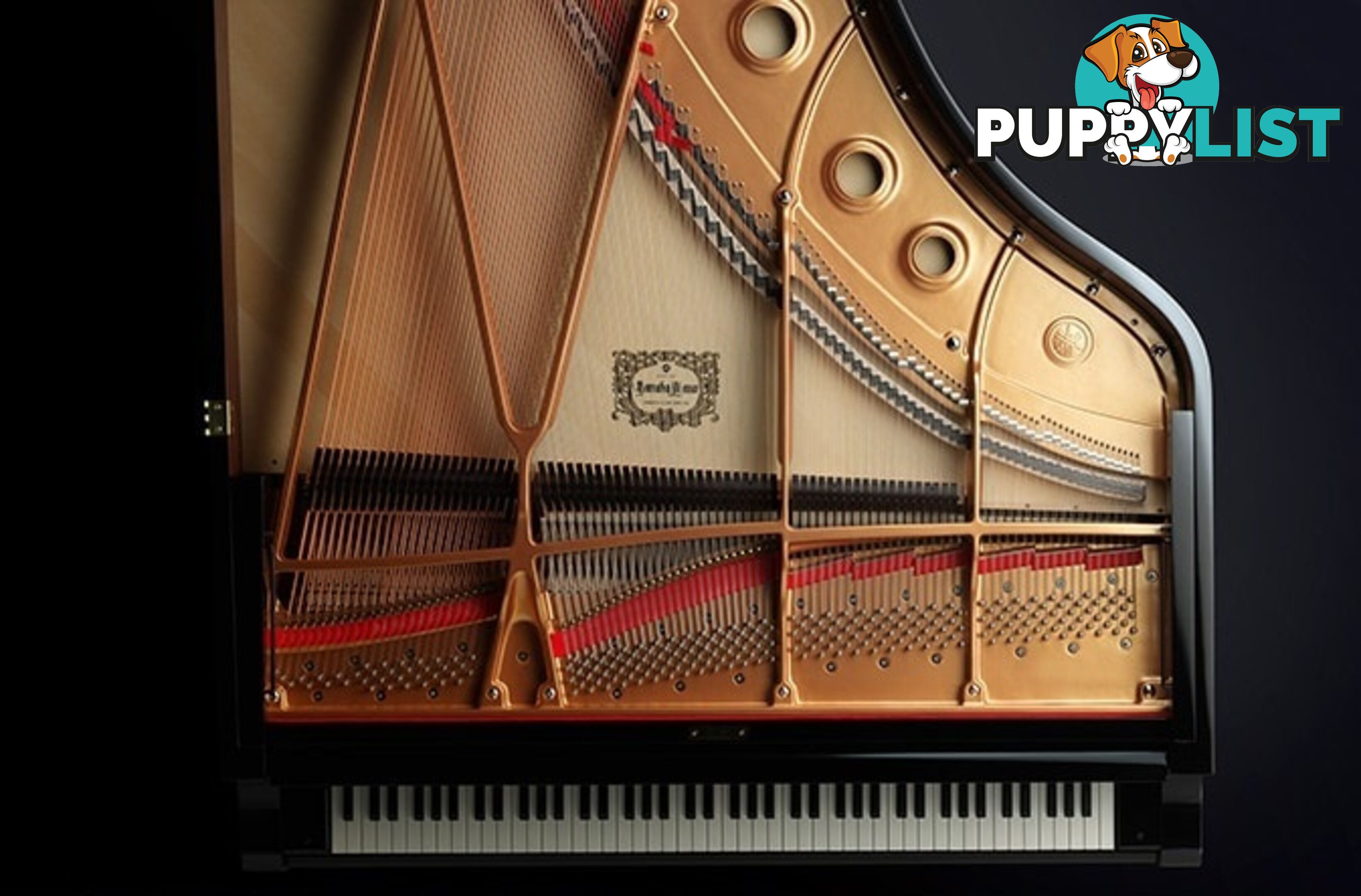 Yamaha P-45 -P-Series