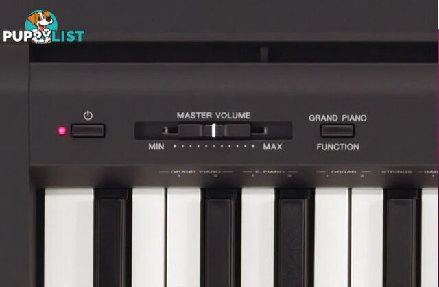 Yamaha P-45 -P-Series