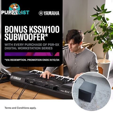 A bonus Offer from Yamaha on every purchase of a PSR SX digital workstation.  KSSW100 subwoofer 