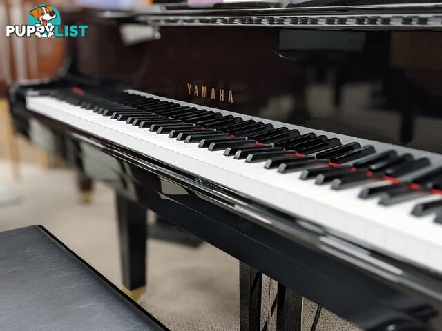  Yamaha Baby Grand Piano GB1K Ebony Polished 