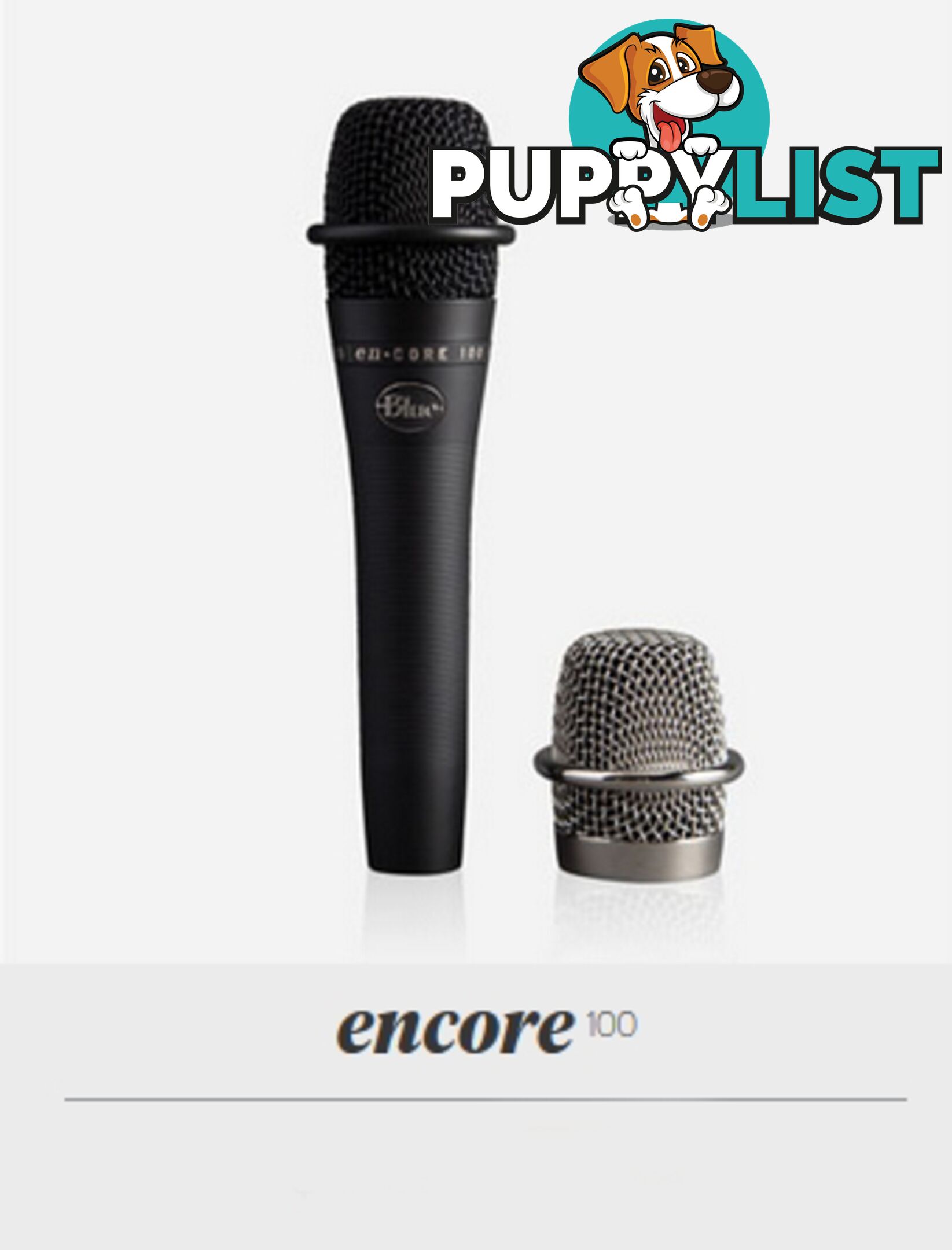 Blue enCORE 100 Microphone