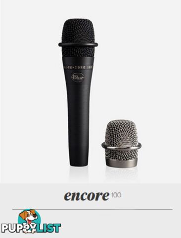 Blue enCORE 100 Microphone