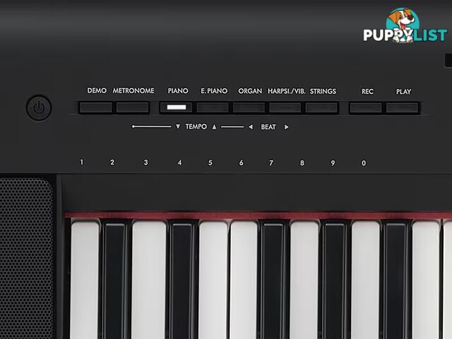 Yamaha Piaggero NP Series NP-15 Slim and compact portable keyboard