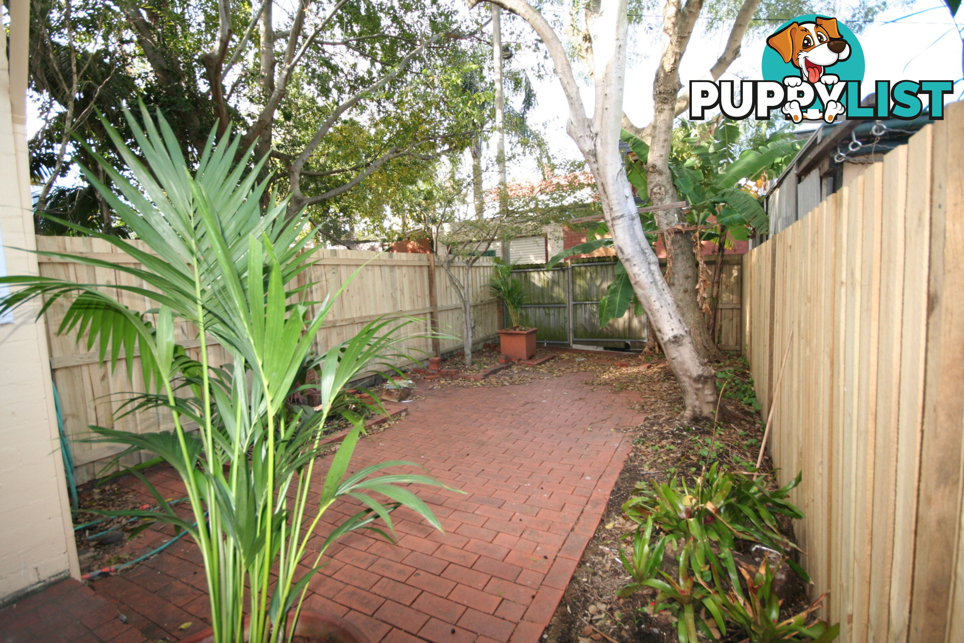 26A Angel Street ERSKINEVILLE NSW 2043