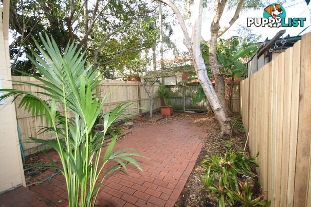 26A Angel Street ERSKINEVILLE NSW 2043