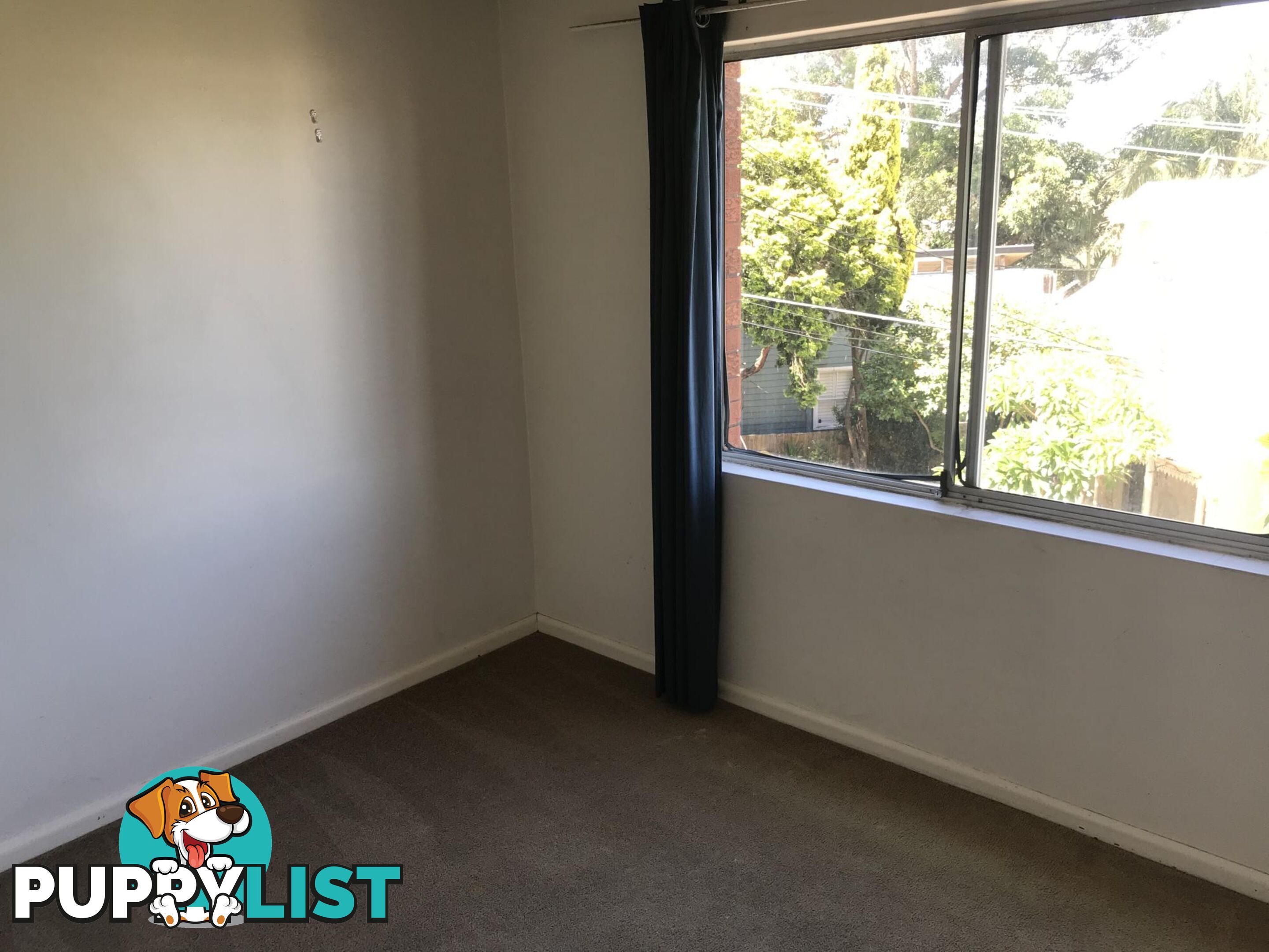 5/15-17 Iredale Street NEWTOWN NSW 2042