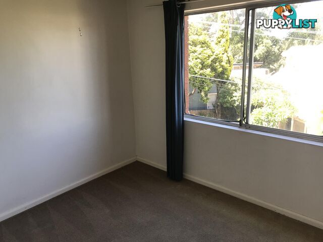 5/15-17 Iredale Street NEWTOWN NSW 2042