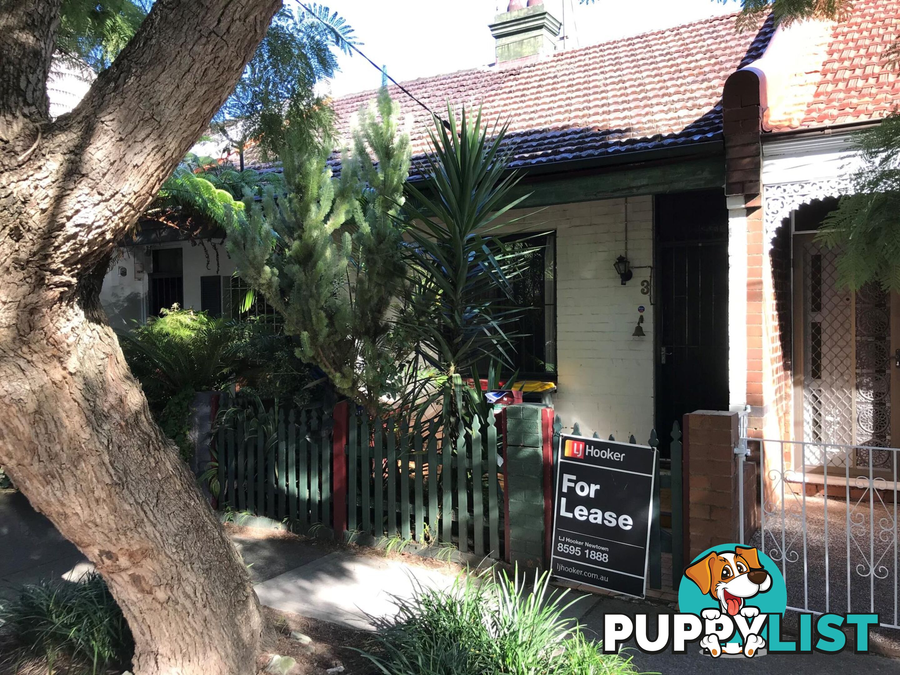 3 Ashmore Street ERSKINEVILLE NSW 2043