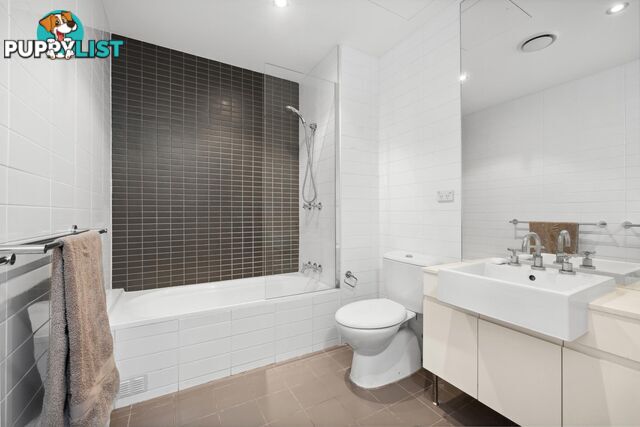 17/21-25 Coulson Street ERSKINEVILLE NSW 2043