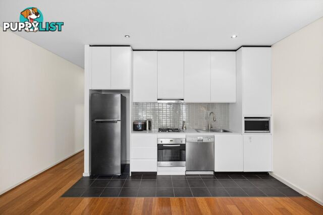 17/21-25 Coulson Street ERSKINEVILLE NSW 2043