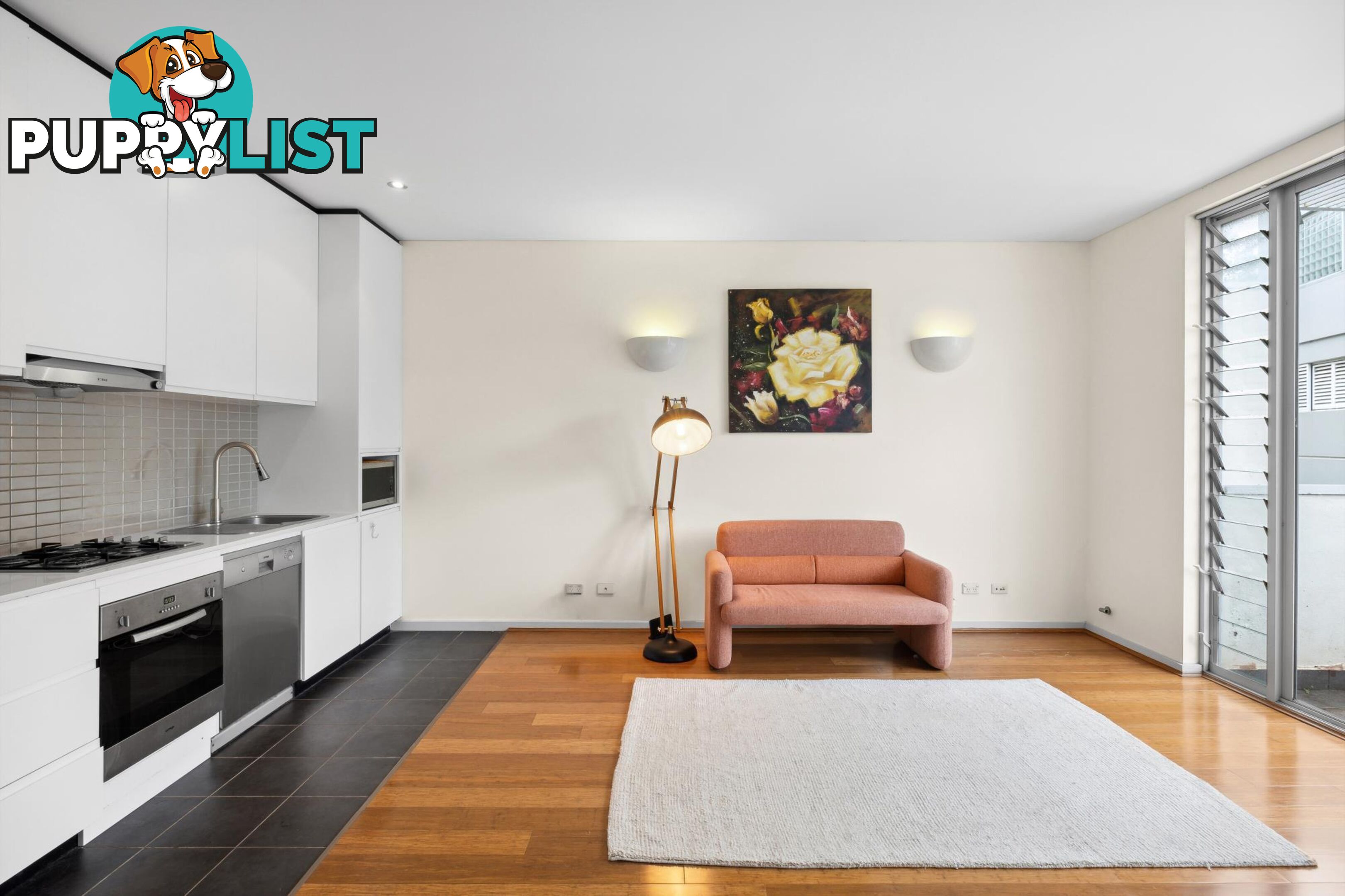 17/21-25 Coulson Street ERSKINEVILLE NSW 2043