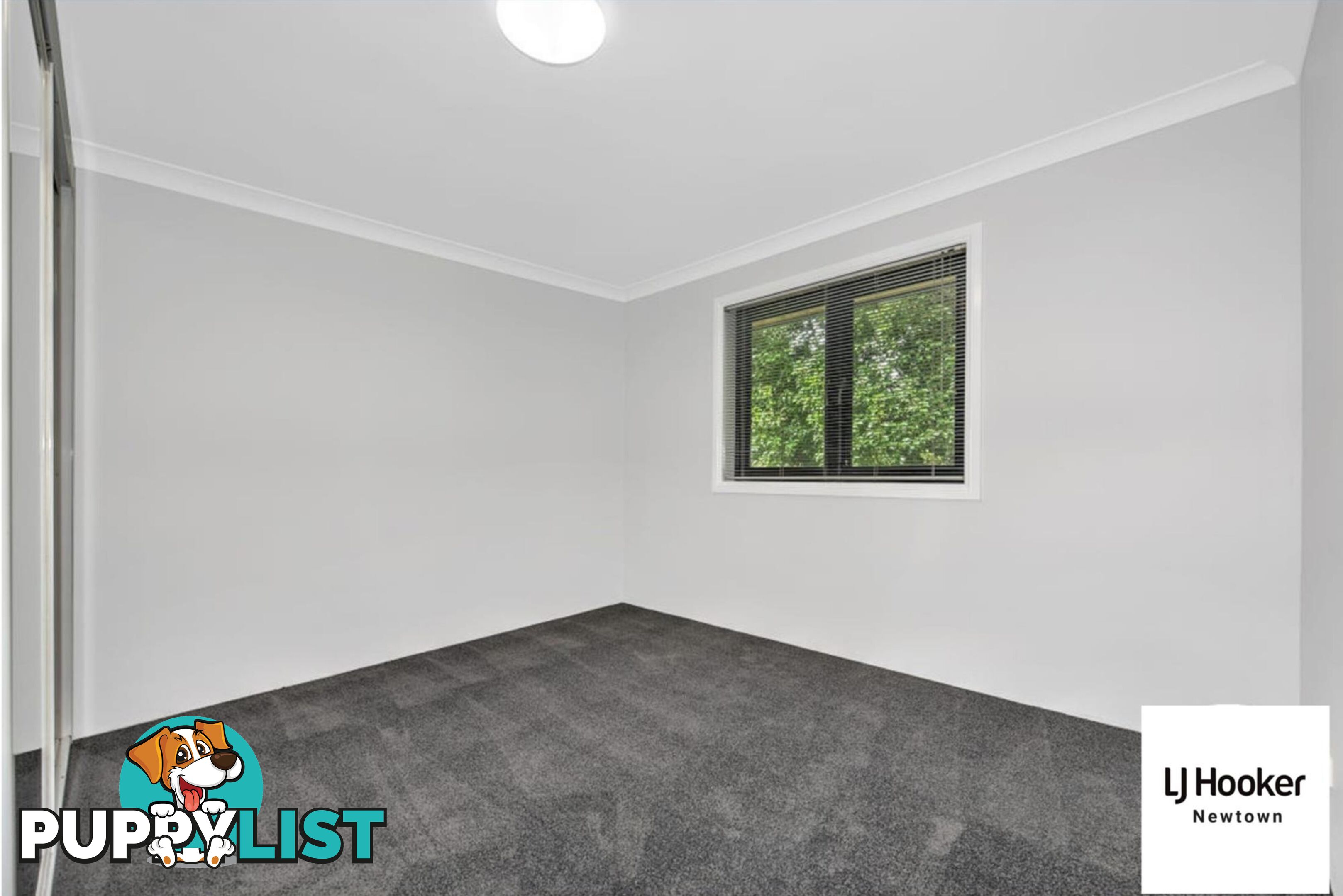 8/14-16 Harrington Street ENMORE NSW 2042