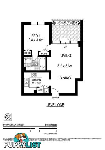 3/60-62 Foveaux Street SURRY HILLS NSW 2010