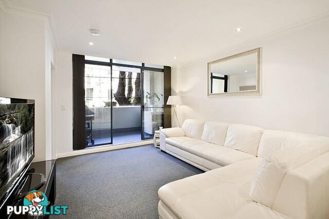 3/60-62 Foveaux Street SURRY HILLS NSW 2010