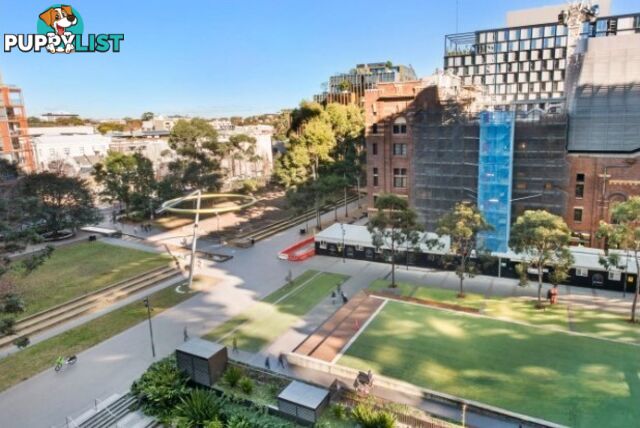 602/1 Park Lane CHIPPENDALE NSW 2008