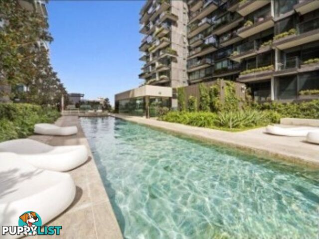 602/1 Park Lane CHIPPENDALE NSW 2008