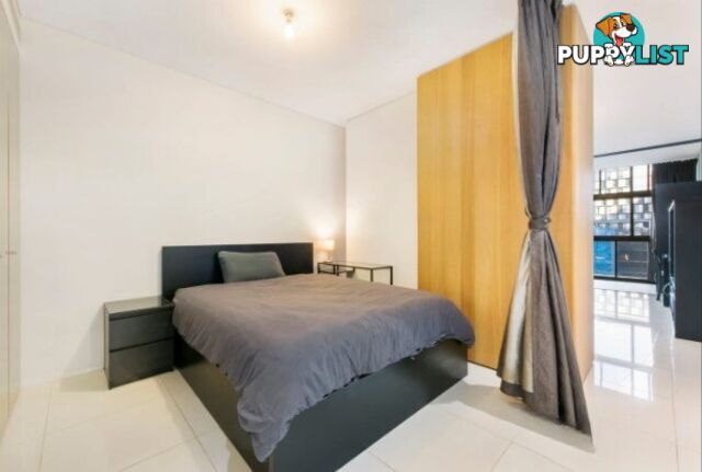 602/1 Park Lane CHIPPENDALE NSW 2008