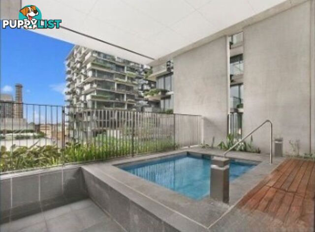 602/1 Park Lane CHIPPENDALE NSW 2008