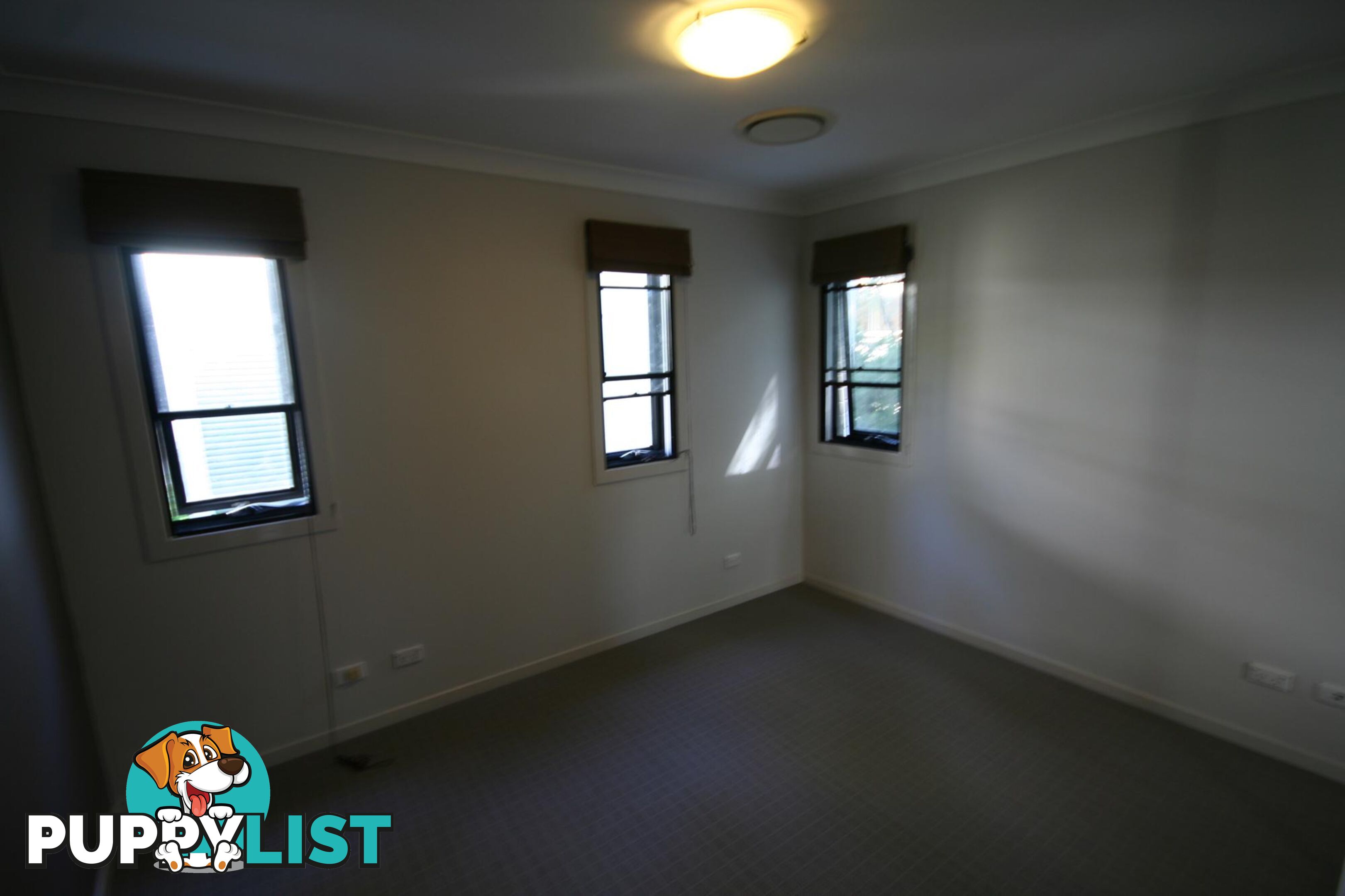 7/50-52 Fotheringham Street ENMORE NSW 2042