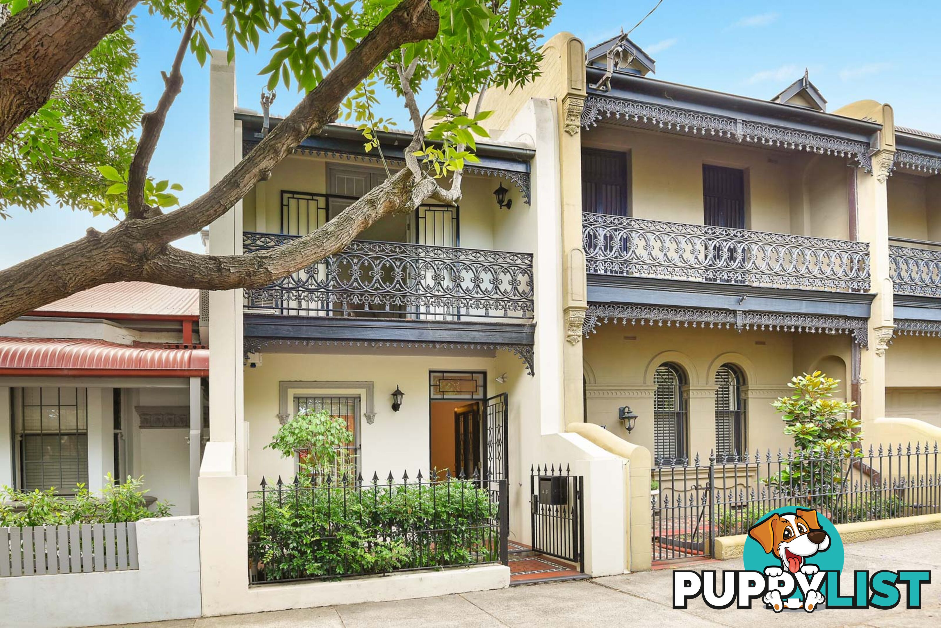 43 Suttor Street ALEXANDRIA NSW 2015