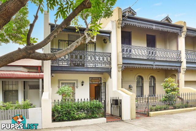 43 Suttor Street ALEXANDRIA NSW 2015