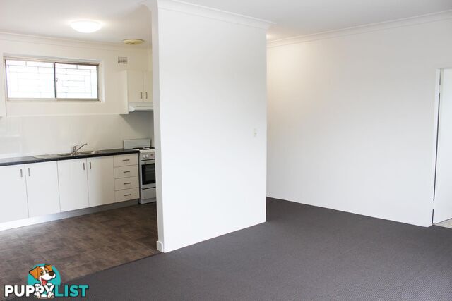 8/39 Laura Street NEWTOWN NSW 2042