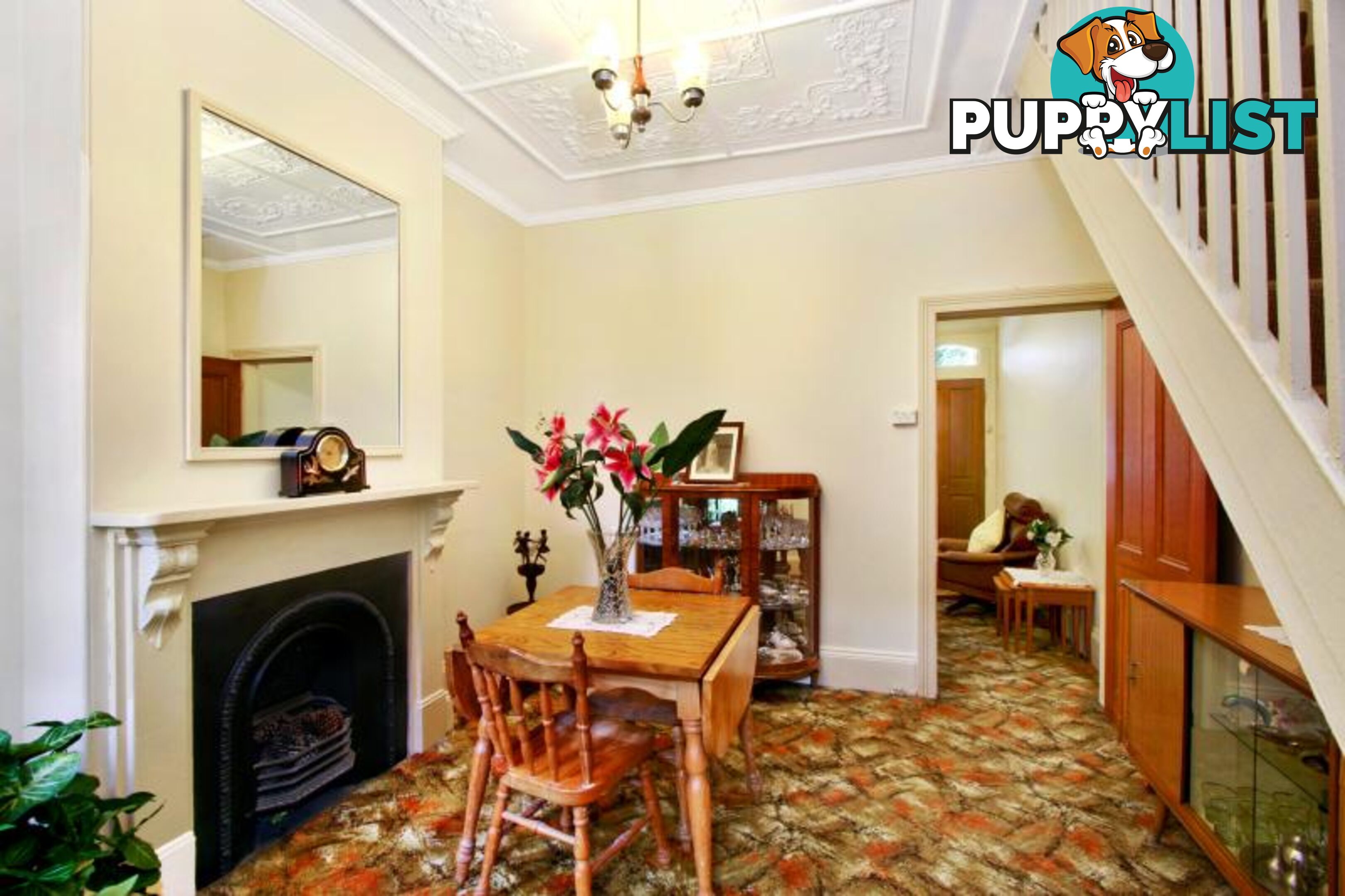 36 Goodsell Street ST PETERS NSW 2044