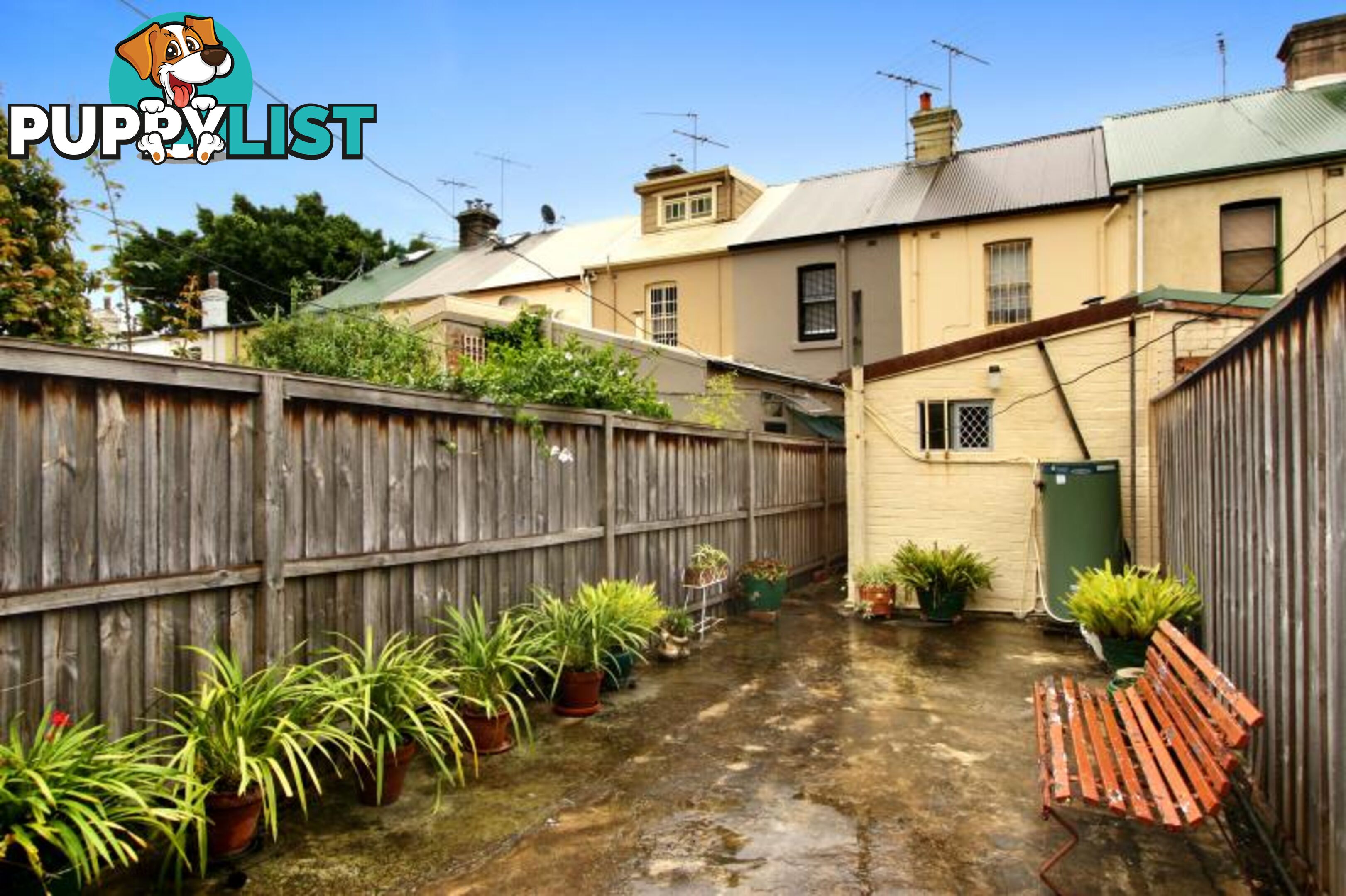 36 Goodsell Street ST PETERS NSW 2044