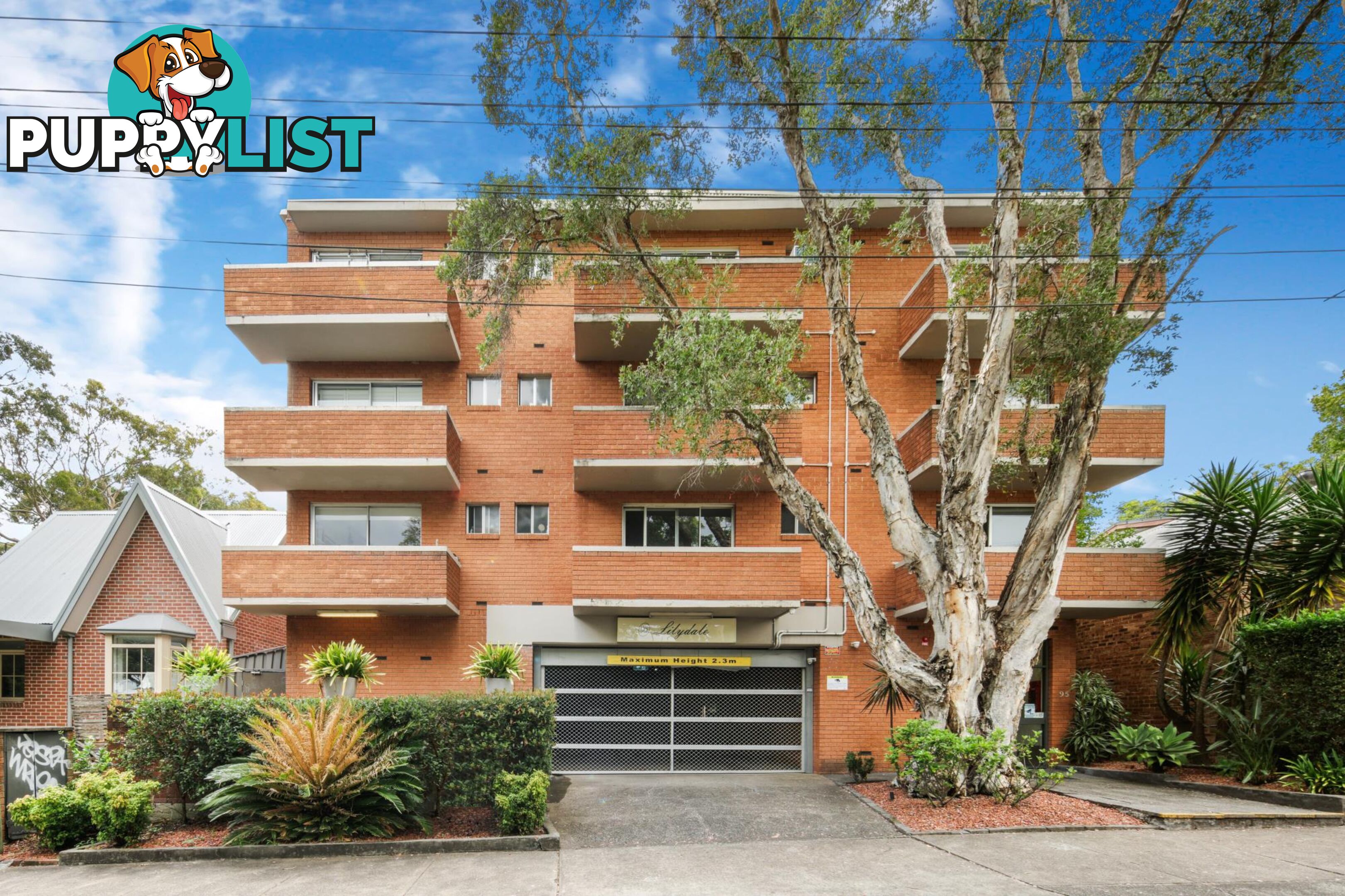 69/95 Annandale Street ANNANDALE NSW 2038