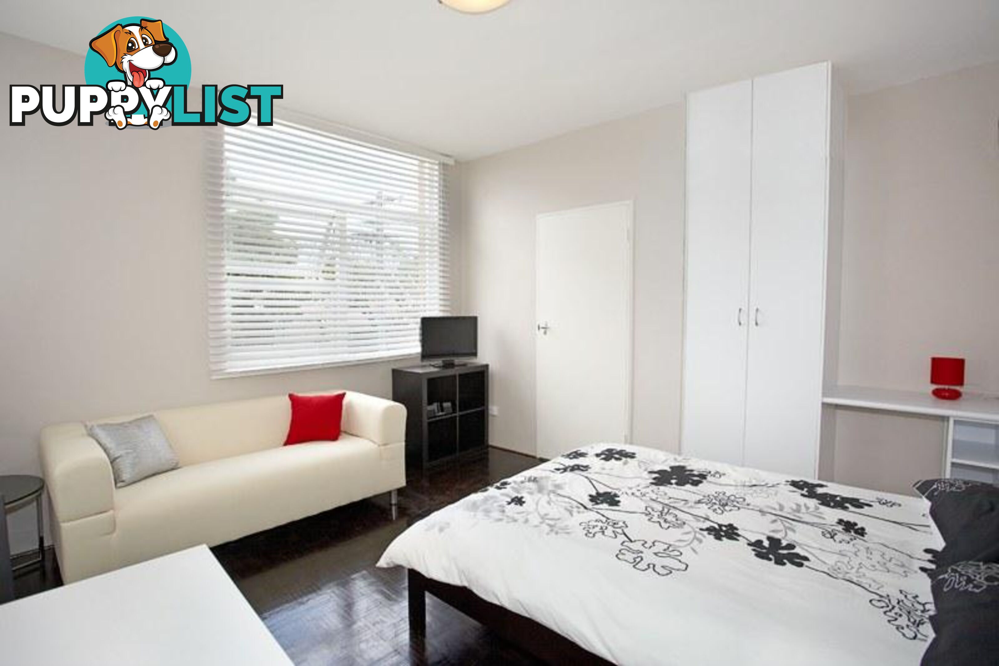 7/103 Cardigan Street STANMORE NSW 2048