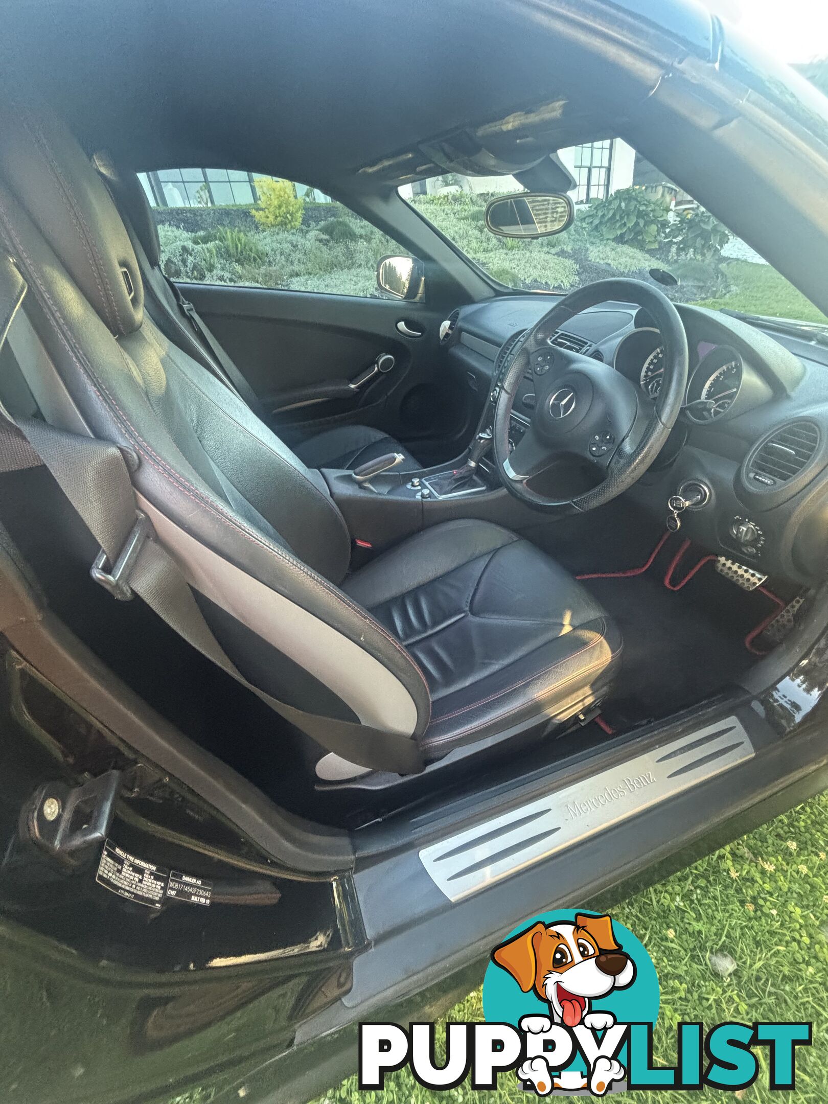 2010 Mercedes-Benz SLK-Class R171 MY10 SLK300 Coupe Automatic