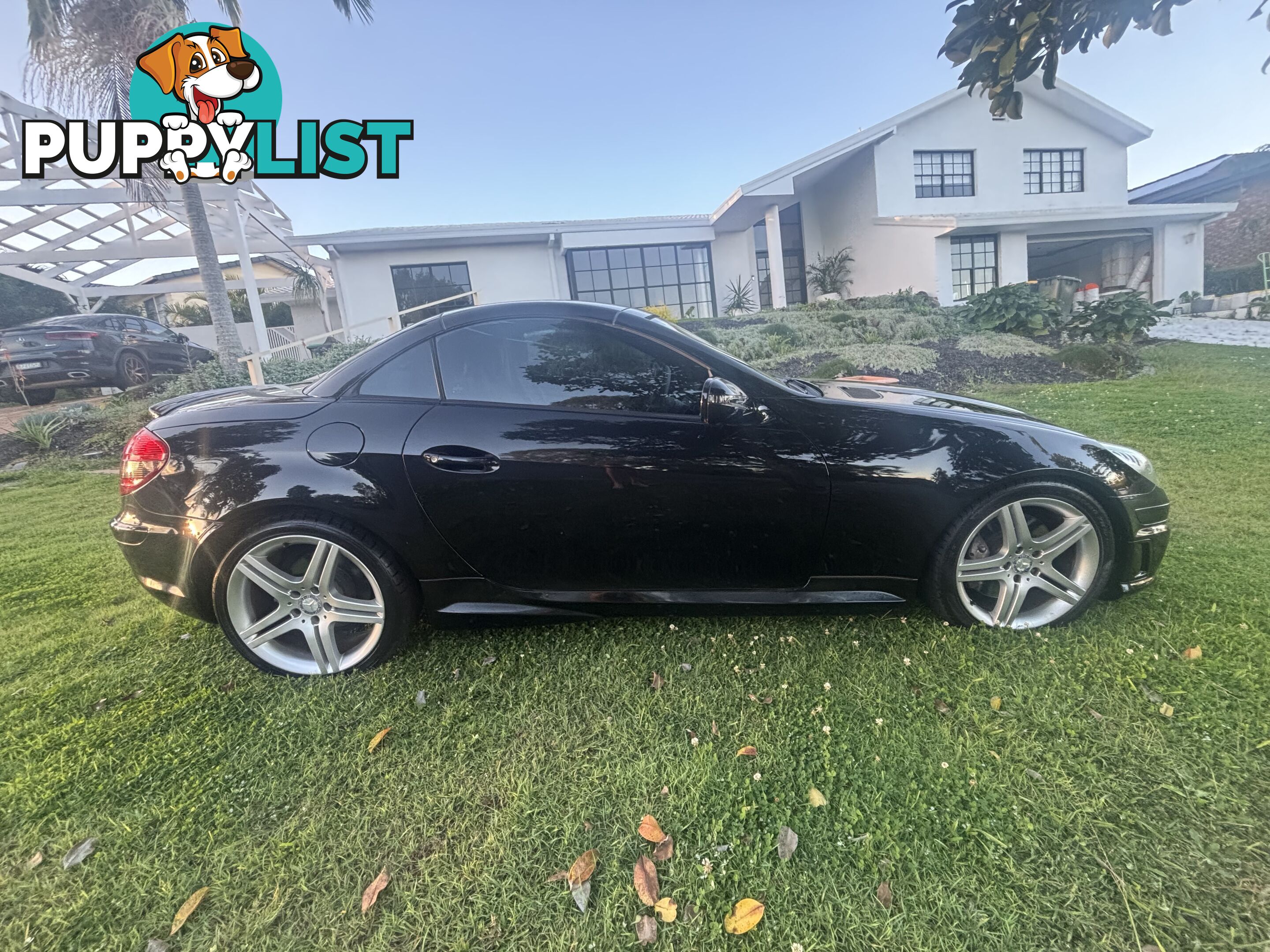 2010 Mercedes-Benz SLK-Class R171 MY10 SLK300 Coupe Automatic