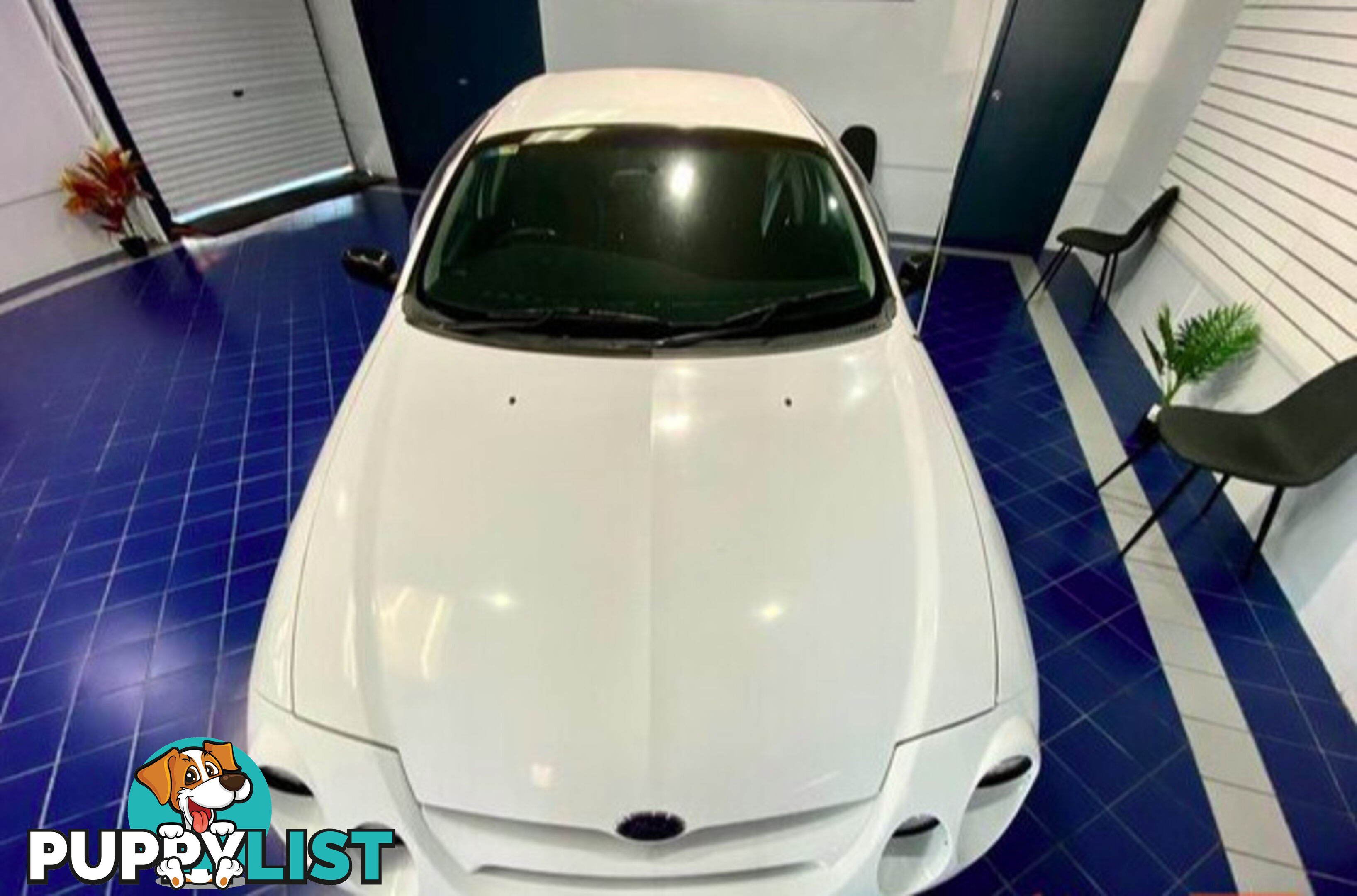 2000 Ford Falcon XR8 XR8 TickFord Sedan Automatic