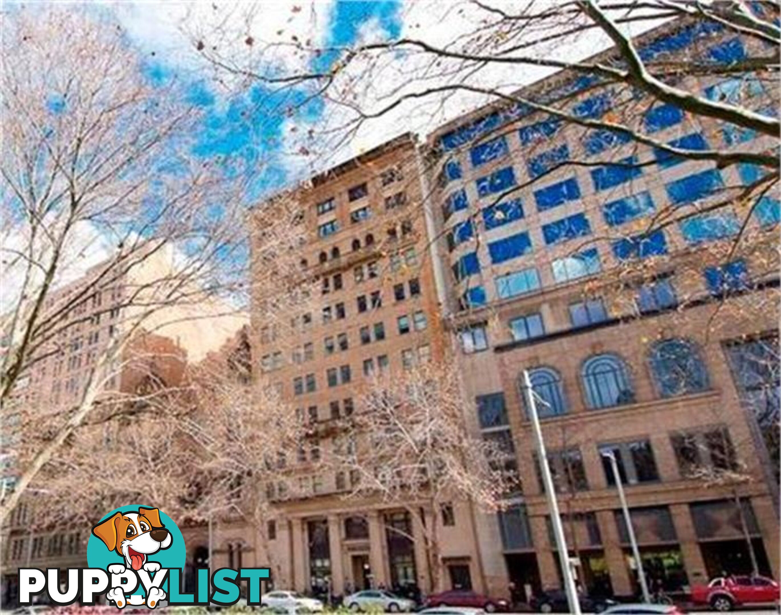 401/185 ELIZABETH STREET SYDNEY NSW 2000