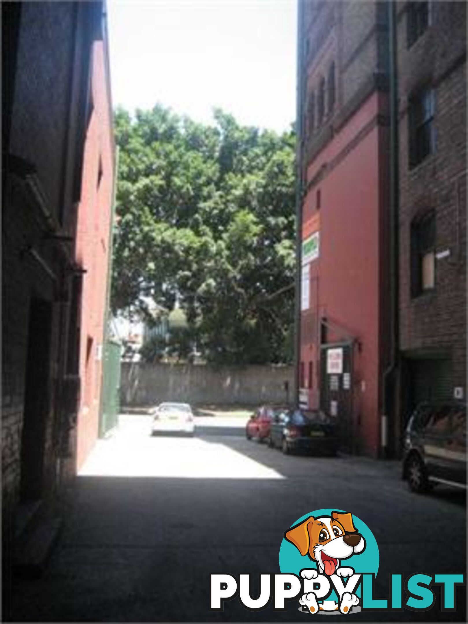 WC4/42 Wattle Street ULTIMO NSW 2007