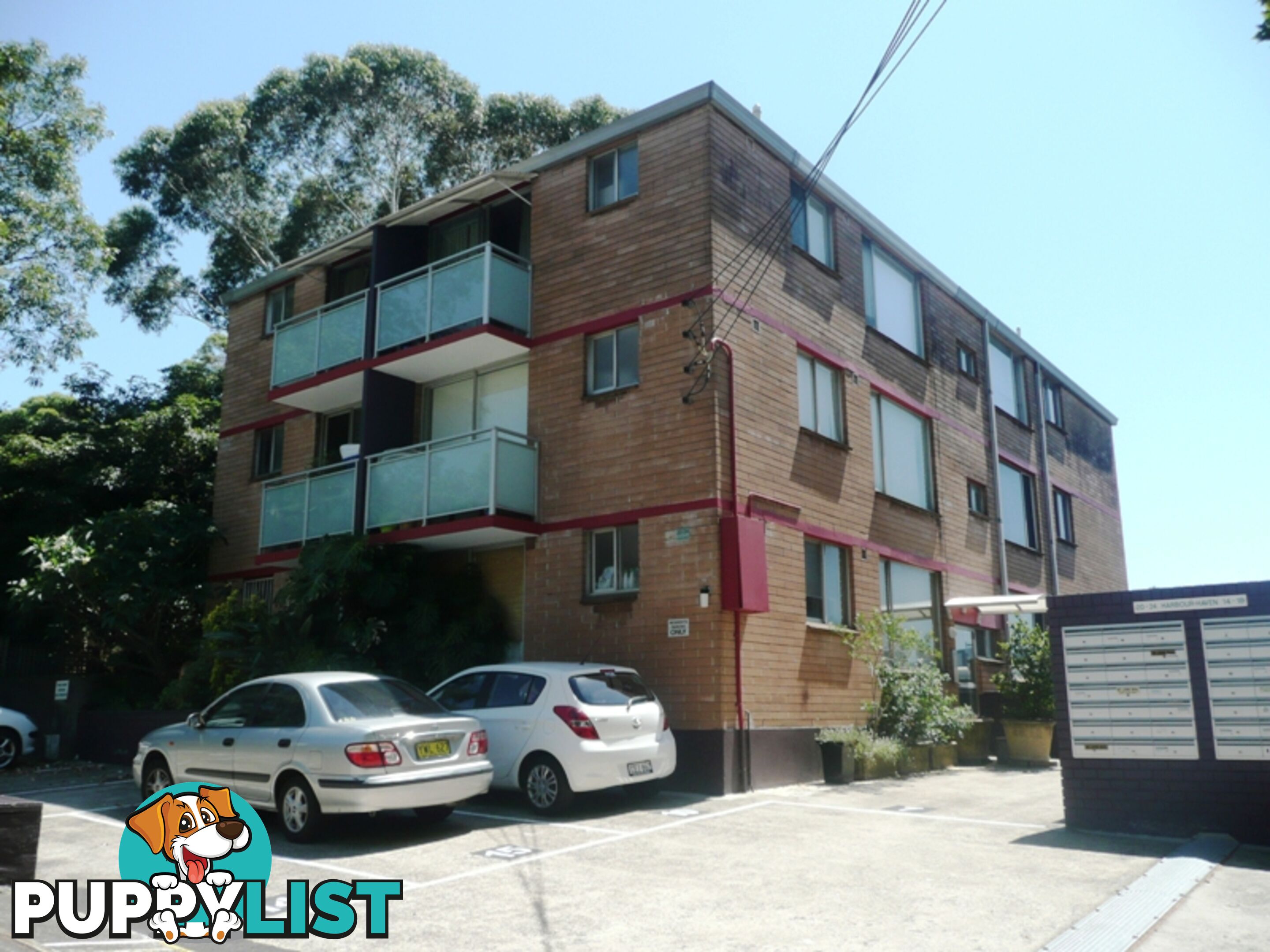 11/20-24 SHEEHY STREET GLEBE NSW 2037