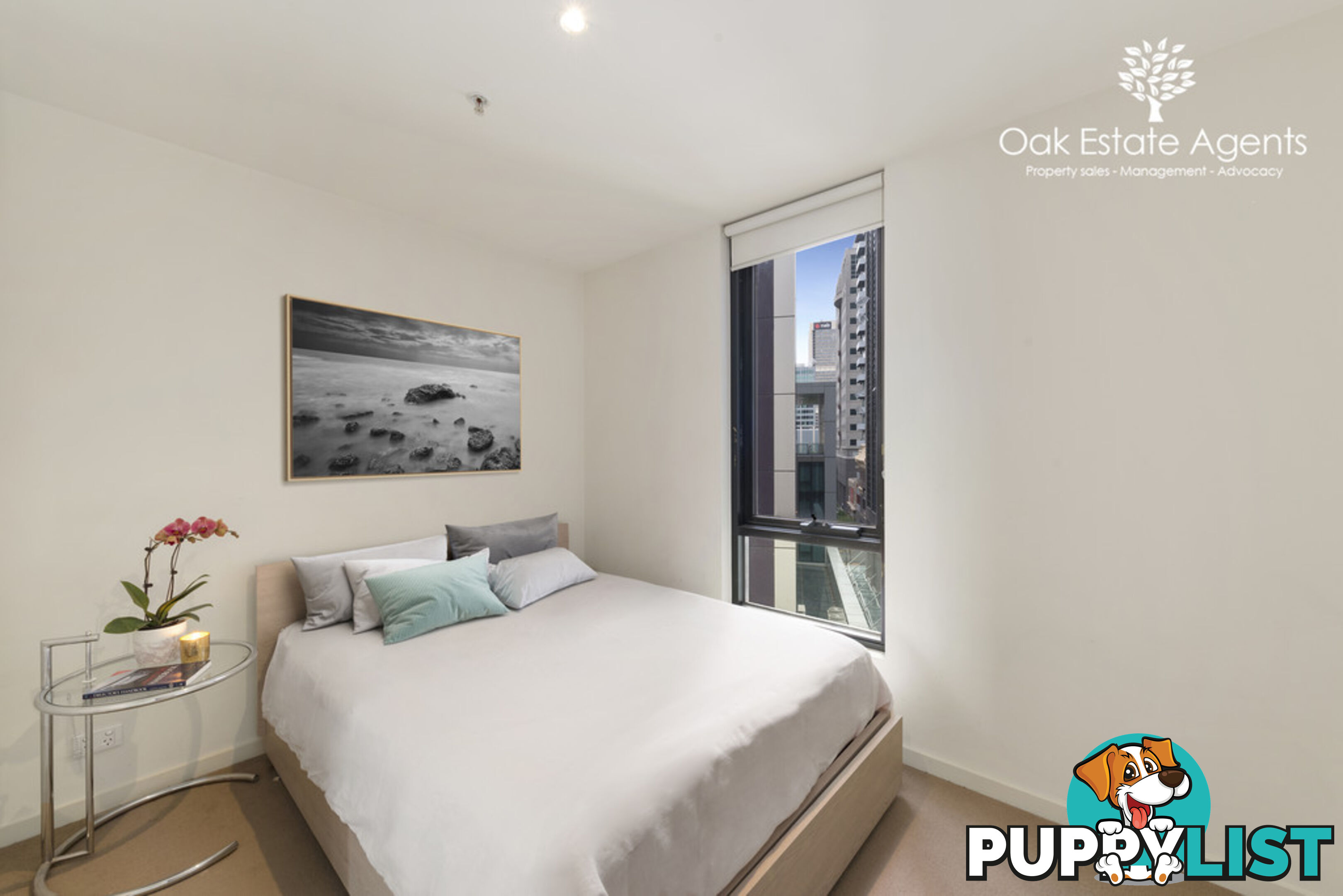 243 Franklin Street Studio/One Bedroom MELBOURNE VIC 3000