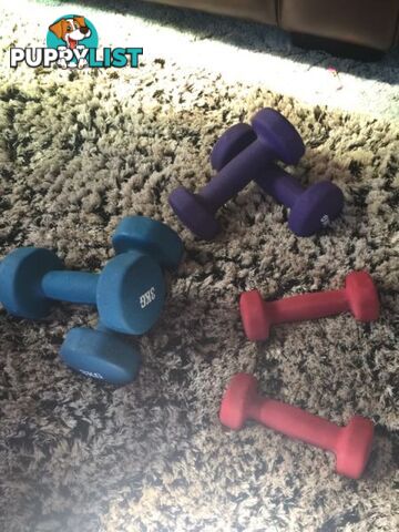 Weights or dumbbell