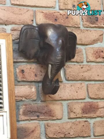 Elephant head hanger